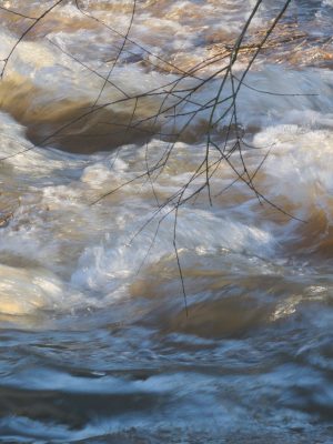 wasser_1